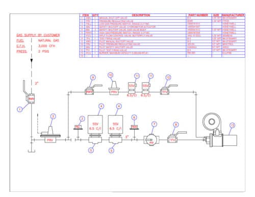 Combustion Systems & Services